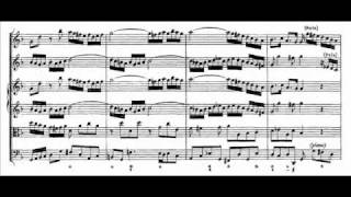 JS Bach  BWV 1043  1 Vivace dmoll  D minor [upl. by Damha]