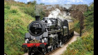 Torbay Steam Railway [upl. by Eiboh]