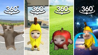 FIND CAT MEME COMPILATION  Banana Cat Happy Cat Apple Cat Finding Challenge 360º VR Video [upl. by Branscum299]