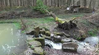 Gomaringer Rundweg  Zu den Giganten im Wald  Gomaringen  Tübingen [upl. by Soll]