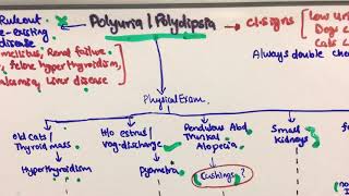 Polyuria Polydipsia Diagnostic algorithm [upl. by Namlak]