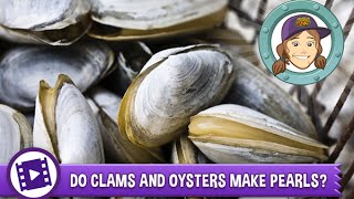 Animal Jam  Ask Tierney Do clams and oysters really make pearls [upl. by Esilanna]