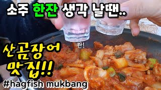 부산맛집 살아있는 곰장어 잡아서 먹는 해운대맛집부산곰장어 먹방소주먹방푸짐한곰장어hagfish eating showkoreafood [upl. by Aaronson]