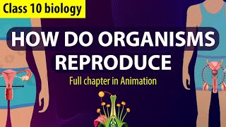 How Do Organisms Reproduce Complete Chapter🔥 in Animation Class 10th Science CH6 NCERT covered [upl. by Aikcin]