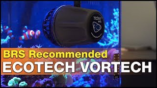 Worth it The EcoTech VorTech MP10  MP40 and MP60 review  It’s BRS recommended [upl. by Novyat]