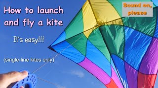 How to launch and fly a kite  a guide for new kitefliers [upl. by Tnomad]