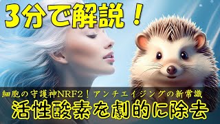 【細胞レベルの老化予防】細胞の守護神NRF2！今日からできる簡単習慣 [upl. by Anaert]