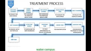 STP Treatment process in Animation [upl. by Ecire]