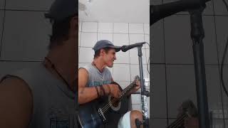 Não aprendi dizer adeus  Leonardo  Carlinhos cover [upl. by Melcher]