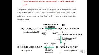 Lipid 2 2 [upl. by Saidel]