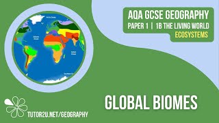 Global Biomes  AQA GCSE Geography  Ecosystems 4 [upl. by Ardnekat]