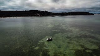 This Place Is So Special  Kingfish Sharks amp Snapper  Fishing NZ [upl. by Ybsorc]