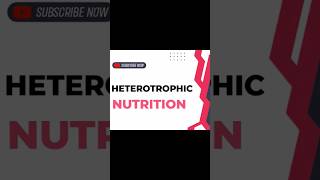 HETEROTROPHIC NUTRITION [upl. by Myrta]