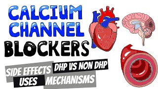 Dihydropyridine v Non Dihydropyridine Calcium Channel Blockers CCB  Calcium Channel Blocker Uses [upl. by Sgninnej]