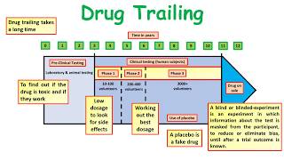 GCSE Biology Science Drug Development [upl. by Spitzer]