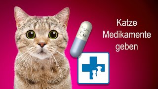 Wie gebe ich meiner Katze Medikamente und Tabletten [upl. by Salomo150]