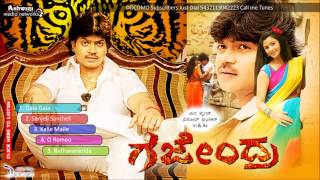 Gajendra Kannada Movie Songs  Full Songs Juke Box  Vinod PrabhakarDaisy Shah [upl. by Frodina]