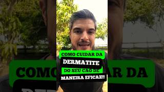 SHAMPOOS E POMADAS PARA TRATAR DERMATITE E COCEIRA DO CACHORRO COM QUEDA DE PELO NÃO CURA ALERGIA [upl. by Otrebilif356]