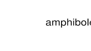 How to pronounce amphiboles [upl. by Enaht546]