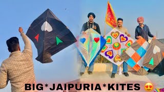 Flying big JAIPURIA kites 😍 sunday special 🔥 ASG FILMS [upl. by Swaine]