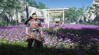 Secret Location  Ghost of Tsushima [upl. by Aidualk]