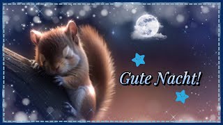 ⭐🐿 Gute Nacht schlaf gut 🐿⭐Grußvideo kostenlos zum Versenden für WhatsApp [upl. by Fiore]