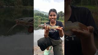 ഇതിന്റെ പേരറിയുന്നവർ കമന്റ് ചെയ്യൂ ☺️ youtube fishing trending viralvideo fishingtravellers [upl. by Ahsimac556]