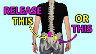 Release Your Lower Back Pain Like A Chiropractor [upl. by Diraj]