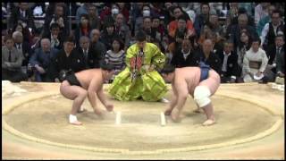 Day11 Harumafuji vs Aoiyama [upl. by Aicad]