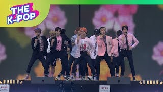 THE BOYZ Bloom Bloom Dream Concert 2019 Fancam 190518 60P [upl. by Hayyifas433]