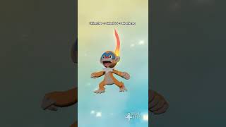 Así evoluciona CHIMCHAR en POKÉMON Leyendas Arceus [upl. by Igal191]