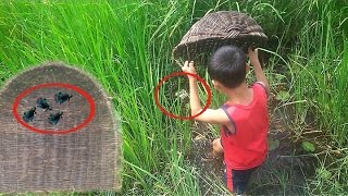 Net‌ Fishing‌ Betta  How to Net‌ Betta‌  Kampot Province  CAMBODIA‌ [upl. by Elrak453]