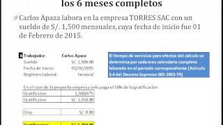 Ley 30334 – 10 Casos Prácticos de Gratificación [upl. by Asereht619]