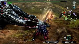 【MHXXHD】適当にやったら思わぬタイムが出て草 [upl. by Asirac321]