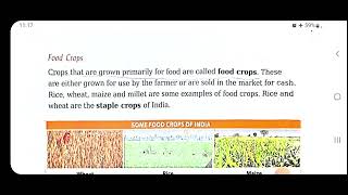 Agriculture and industries in India  chapter 8 class 4  Footprints  SSt [upl. by Jacoby]