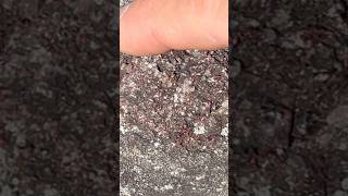 Men found Huge crystal red pockets of almandine garnets in Ny mountains gems minerals rocks [upl. by Haslett]