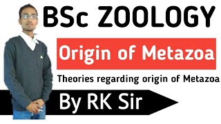 Zoology Origin of Metazoa Theories regarding the Origin of Metazoa BSc [upl. by Asiel]