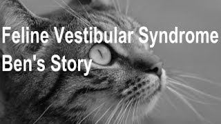 Feline Vestibular Syndrome  Bens Story [upl. by Ayalahs]