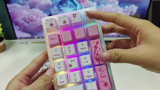 🌸 Do you need a numeric keypad Recommend BOYI TD21 Cherry Blossom Mechanical Numpad for you [upl. by Jerome772]