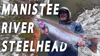 Big Manistee River GIANT Steelhead Best Fishing Guide in Michigan [upl. by Allison]