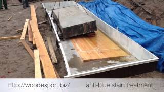 Antiblue stain treatment of pine timber [upl. by Nerad185]