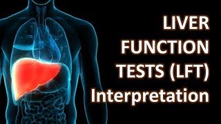 Liver Function Tests LFT and Clinical Interpretation  Crazy Medicine [upl. by Ralston]