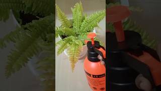 Meesho Finds  Garden pressure spray pump  plant pot  How to use pressure sprayer 2 Liter [upl. by Ecenaj]