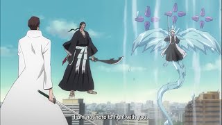 Aizen VS Captains amp Vizards English Sub [upl. by Yole983]