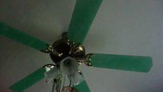 Montage Of Ceiling Fans In My House [upl. by Cynthie398]