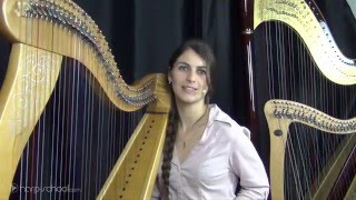 Harpschoolcom  apprendre la harpe  niveau avancé école de harpe en ligne [upl. by Laerdna]