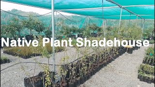 New Zealand Native plant nursery production using Shadehouses made by Redpath NZ [upl. by Aniretake]