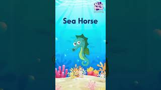 Learn Sea Animal Names and Facts  Sea Creatures for Kids  Sea Animal Toys [upl. by Enilekcaj]