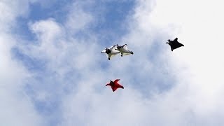 Possibly The Best Wingsuit Flying Ever Captured On Video  HeliBASE 74 ep 4 [upl. by Burkhard]