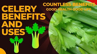 Celery Benefits and Uses Health Benefits of CELERY THE INCREDIBLE HEALTH BENEFITS OF CELERY [upl. by Reiniar]